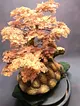 kaplumbaga-bonsai-bakir-rengi