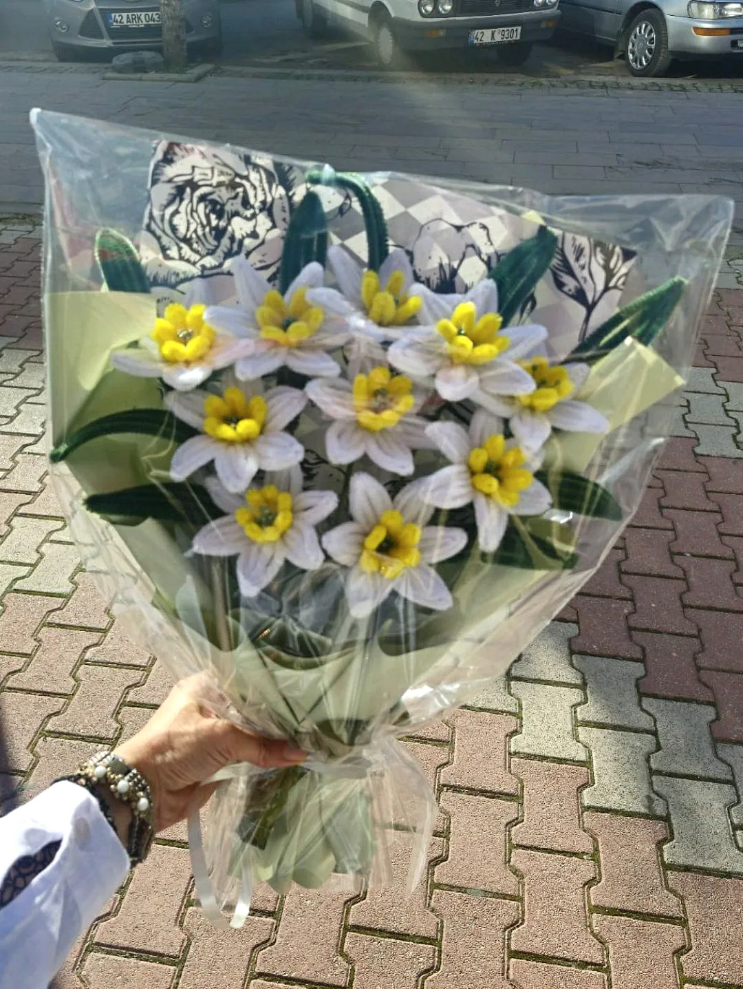 sonil-nergis-cicegi-beyaz