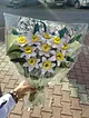 sonil-nergis-cicegi-beyaz