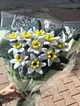 sonil-nergis-cicegi-beyaz