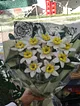 sonil-nergis-cicegi-beyaz