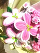 sonil-pembe-zambak-buketi-pembe