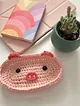 domuzcuk-figurlu-gozluk-tutucu-pembe