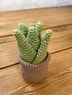 orgu-saksili-aloe-vera-yesil