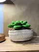 amigrumi-sukulent-acik-yesil