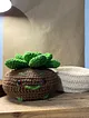 amigrumi-sukulent-acik-yesil