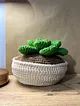 amigrumi-sukulent-acik-yesil