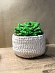 amigrumi-sukulent-yesil