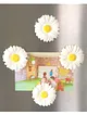 kalp-nergiz-cicegi-papatya-renkli-kaktus-magnet-sari