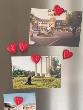 Kalp Nergiz Çiçeği Papatya Renkli Kaktüs  Magnet Kırmızı