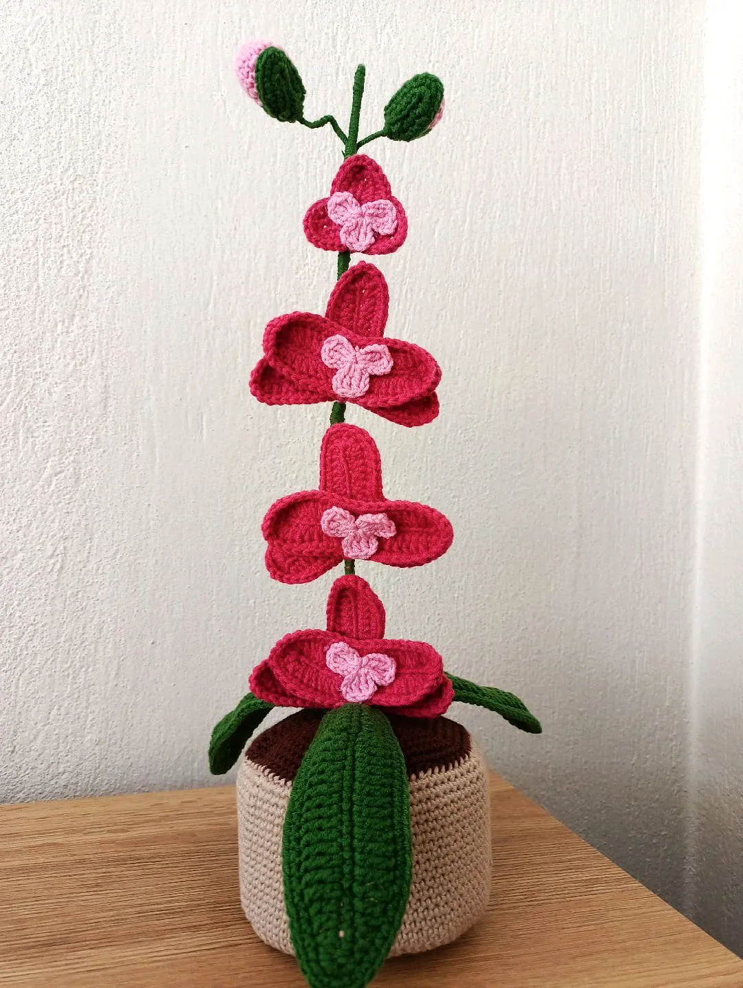 orgu-saksida-orkide-pembe
