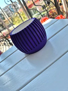 Saksı  Mor