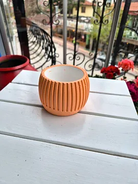 Saksı  Somon