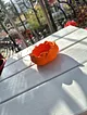tealight-mumluk-mercan
