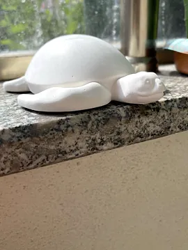 Deniz Kaplumbağası Diy Obje Taş 