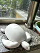 deniz-kaplumbagasi-diy-obje-tas