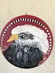 kartal-dokulu-resim