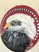 kartal-dokulu-resim