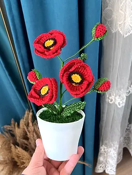 Saksıda Gelincik Çiçeği  Kırmızı