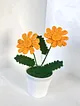 orgu-papatya-sari
