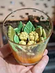 sonbahar-buyuk-bardak-mum-cok-renkli