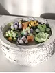 saksida-sukulent-mum-soya-mumu-cok-renkli