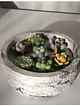 saksida-sukulent-mum-soya-mumu-cok-renkli