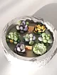 saksida-sukulent-mum-soya-mumu-cok-renkli