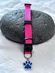 kedi---kopek-renkli-tasma-kolye-pembe-040