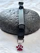 kedi---kopek-renkli-tasma-kolye-koyu-haki-041