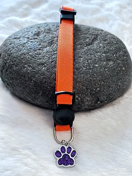 Kedi - Köpek Renkli Tasma Kolye Turuncu 042