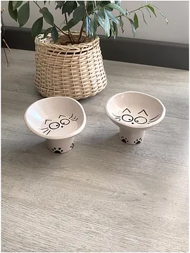Kedi İçin Mama Ve Su Kabı