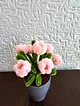 sonil-mini-saksi-pembe