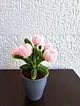 sonil-mini-saksi-pembe
