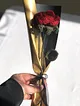 tekli-koyu-kirmizi-gul-kirmizi