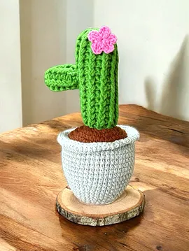 Dekoratif Amigurumi Kaktüs Çok Renkli