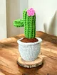 dekoratif-amigurumi-kaktus-cok-renkli