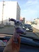 canta-arkadasi-pembe-mor-palyaco-kurbik-amigurumi-oyuncak-pembe