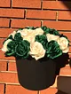 premium-kutu-gul-yesil