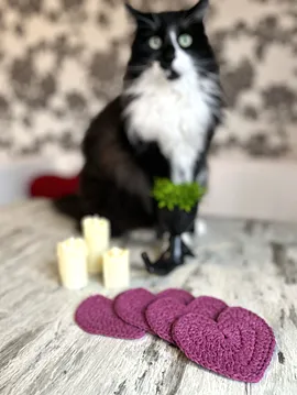 Örgü Kalp Bardak Altlığı 2li Vişne