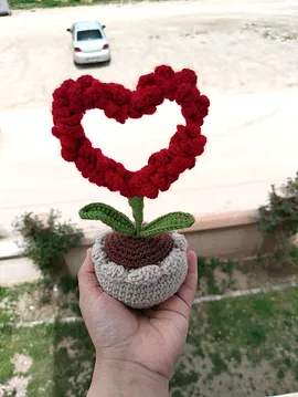 Saksıda Kalp Çiçek Kırmızı