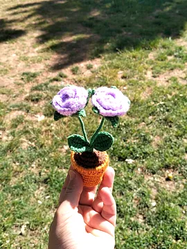  Örgü Saksıda  Gül Lila