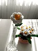 orgu-papatya-beyaz