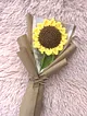 orgu-aycicegi-sari-sari