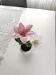 saksida-orgu-cicek-beyaz