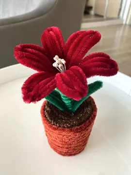 Örme Saksı Çiçeği  Bordo