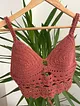 zena-crop-top-kirmizimsi-kahverengi