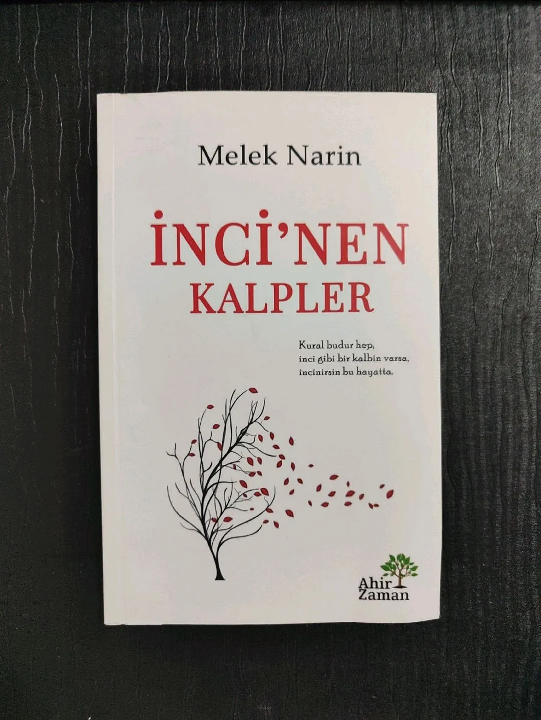 melek-narin---incinen-kalpler