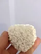 kalpli-cicekler-cok-renkli