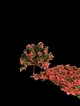 minyatur-maket-agac---8-cm---2li-paket-pembe